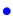 \bgroup\color{blue}$\bullet$\egroup